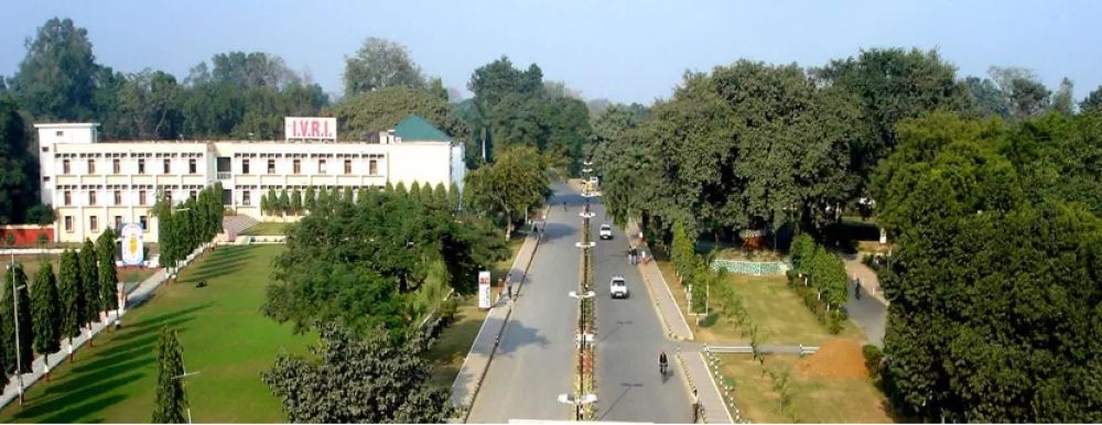 Indian Veterinary Research Institute (IVRI)