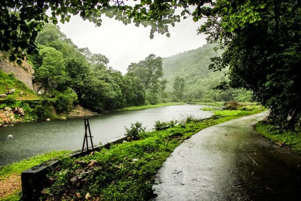 Vijaynagar Forest