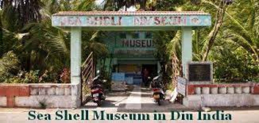 Shell Museum