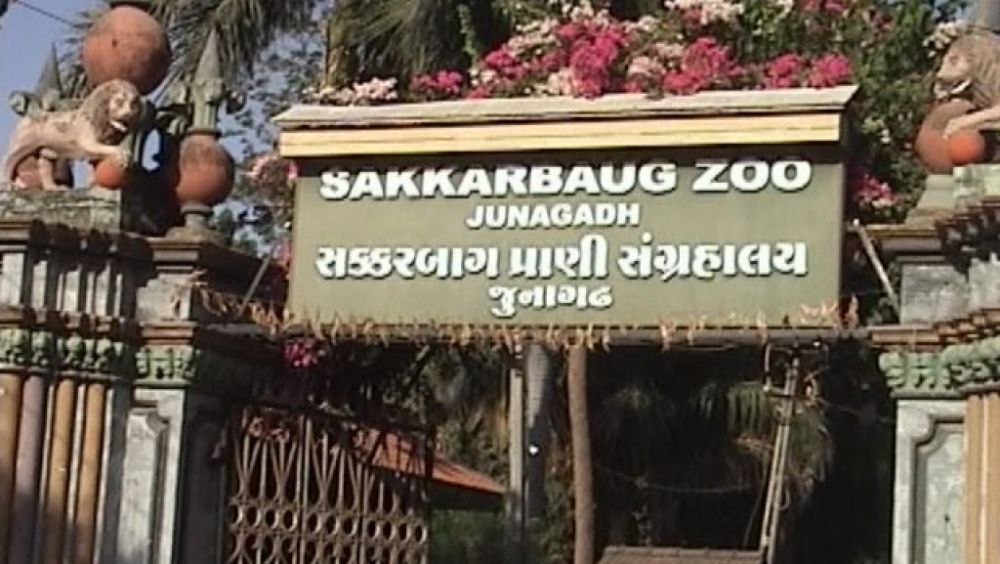 Sakkarbaug Zoological Garden