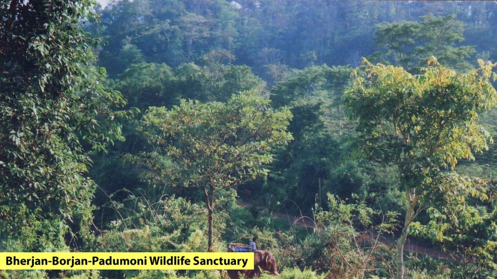 BherjanBorajanPadumoni Wildlife Sanctuary