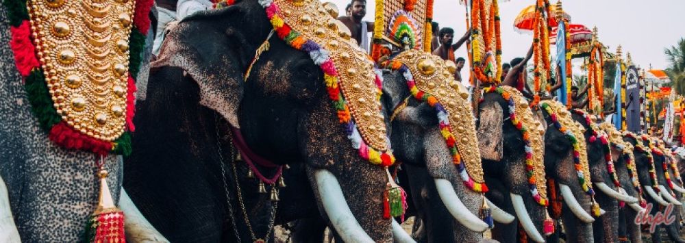 Kaziranga Elephant Festival