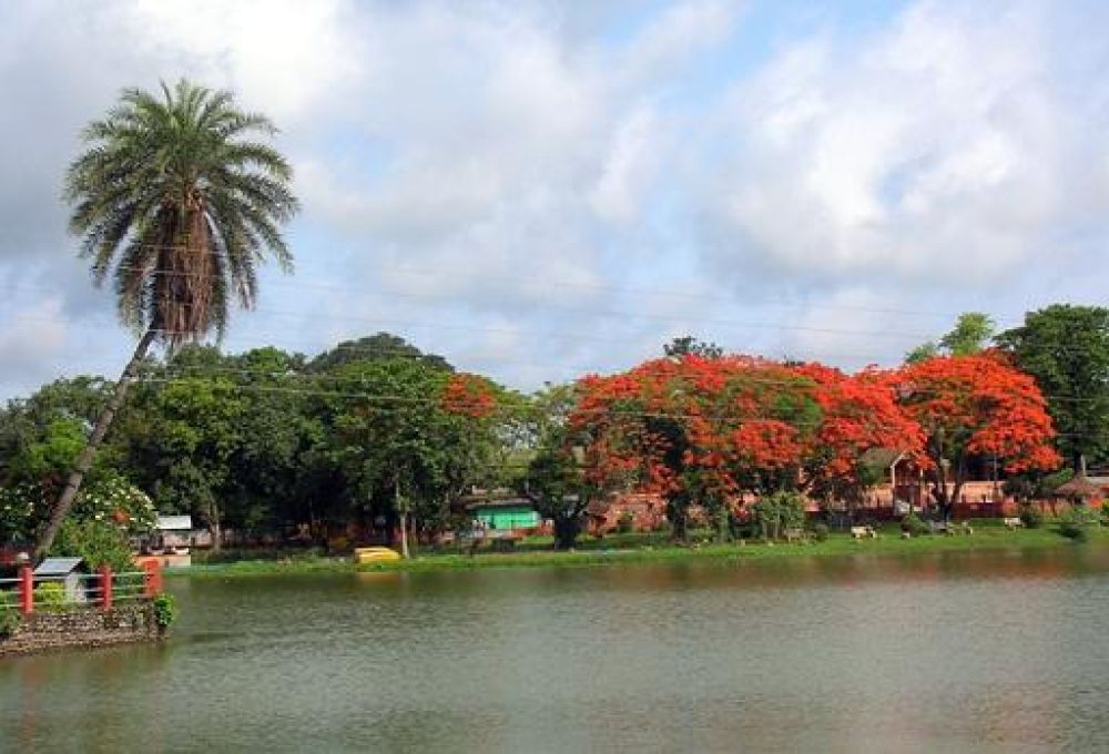 Padum Pukhuri (Lotus Pond)