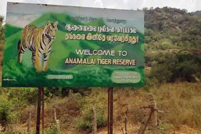 Anamalai Tiger Reserve (Indira Gandhi Wildlife Sanctuary)