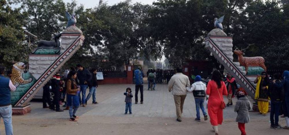 Keoladeo Ghana National Park (Bharatpur Bird Sanctuary)