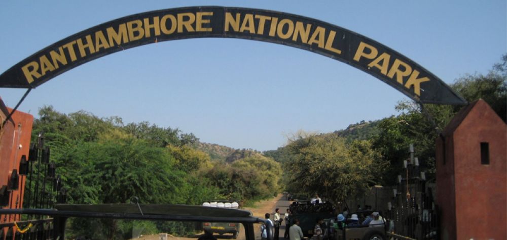 Ranthambore National Park