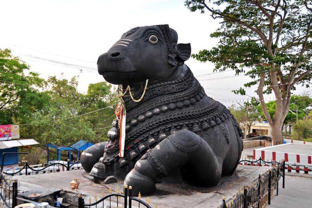 Bull Temple (Dodda Basavana Gudi)