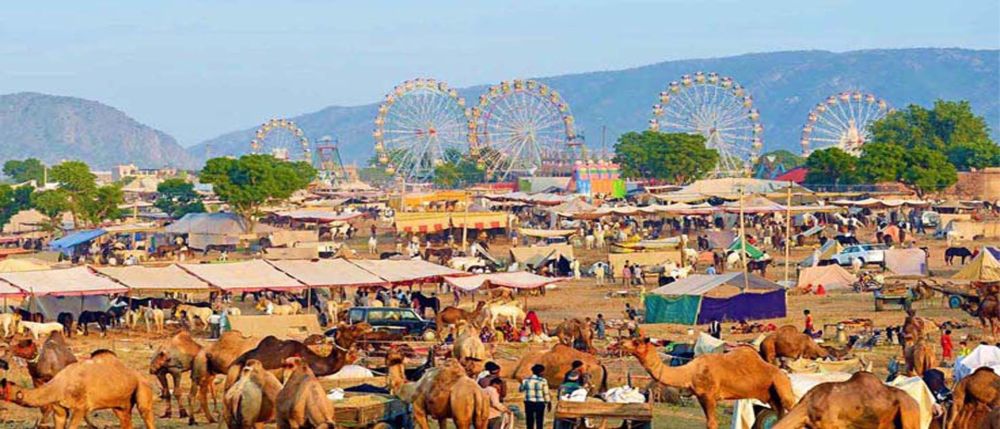 Pushkar Camel Fair Ground