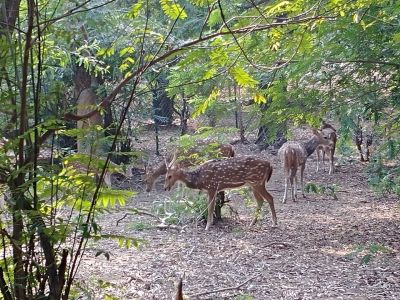 Ballavpur Wildlife Sanctuary