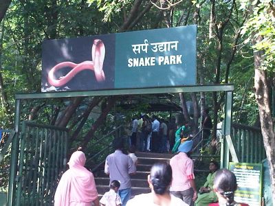 Katraj Snake Park