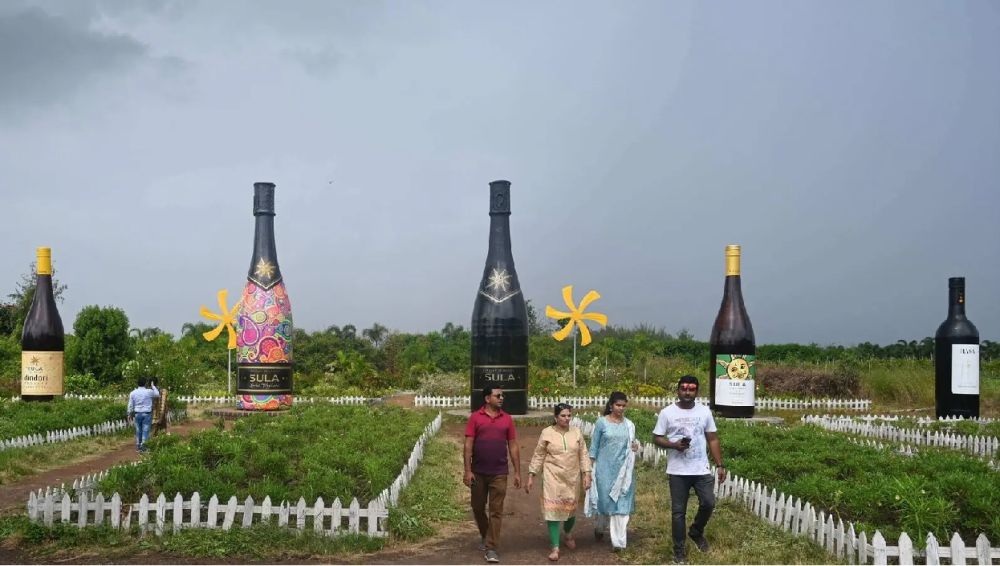 Best time to shop visit sula vineyards