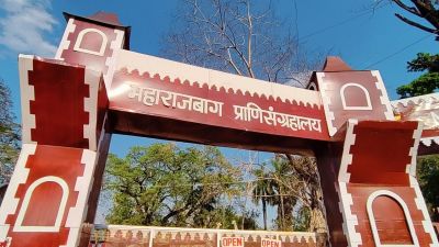 Maharaj Bagh and Zoo
