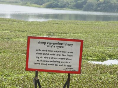 Sambhaji Lake Solapur