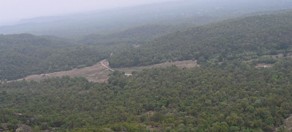 Chakradhara Meadow