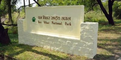 Van Vihar National Park Bhopal