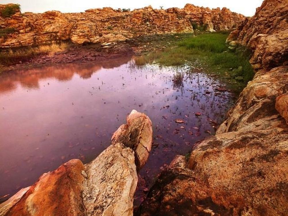 Oravakallu Rock Garden