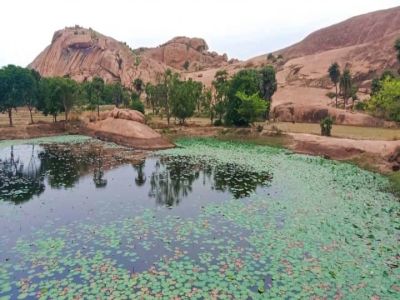 Dharbakulam Lake