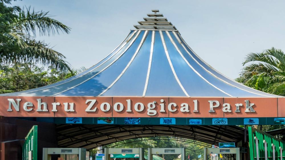 Nehru Zoological Park