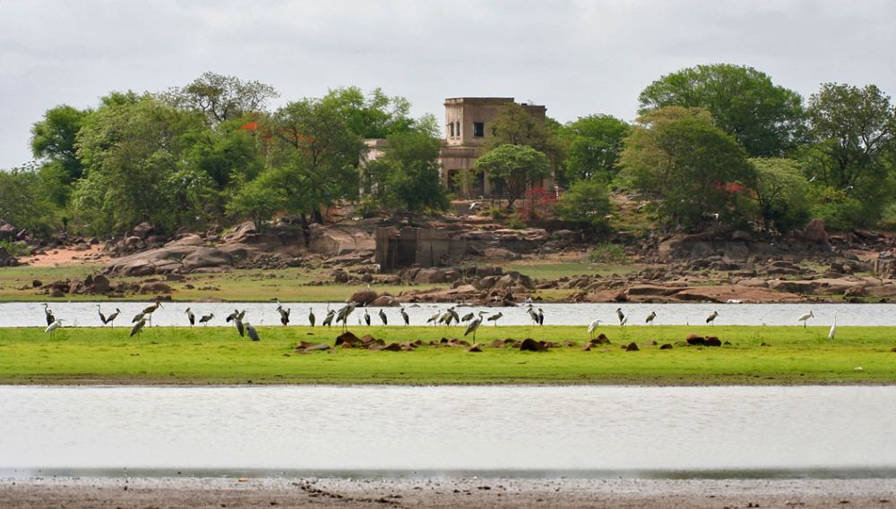 Pocharam Wildlife Sanctuary