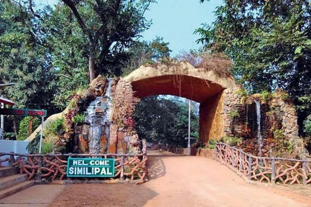 Similipal National Park