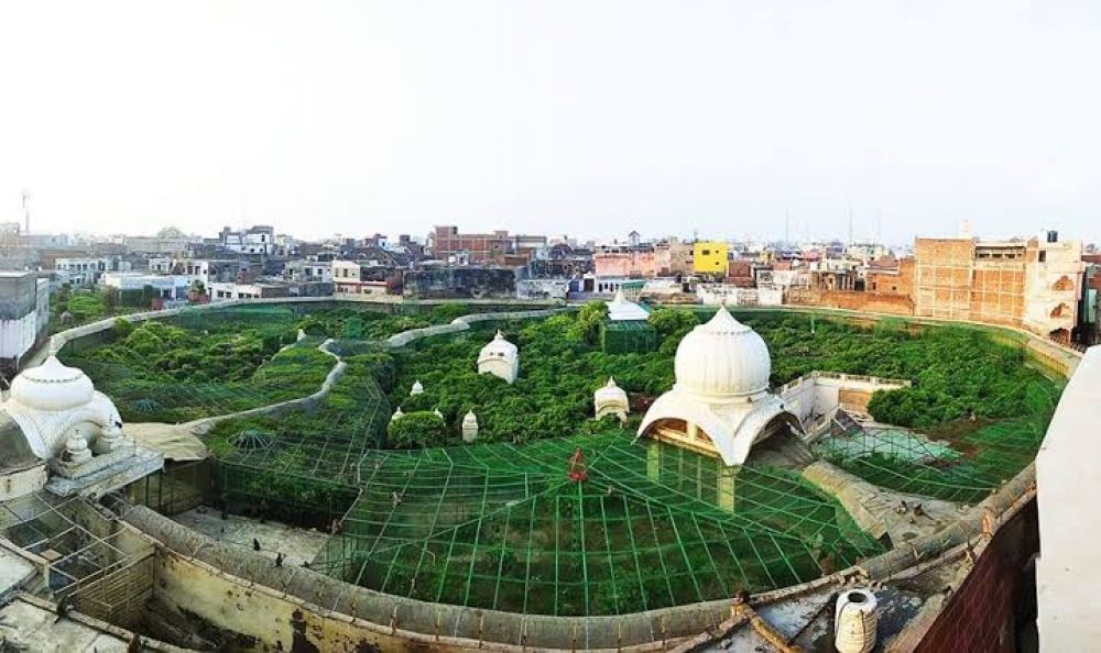 Seva Kunj and Nidhuban Vrindavan