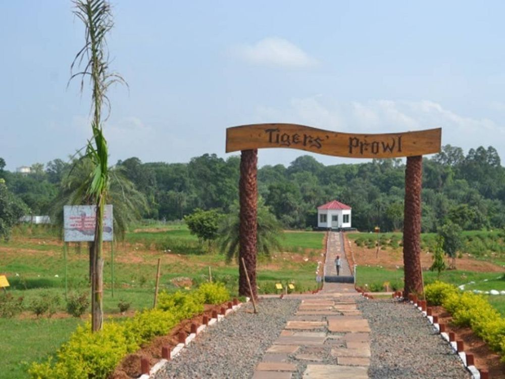 Herbal Garden (Rani Lakshmi Bai Central Agricultural University)