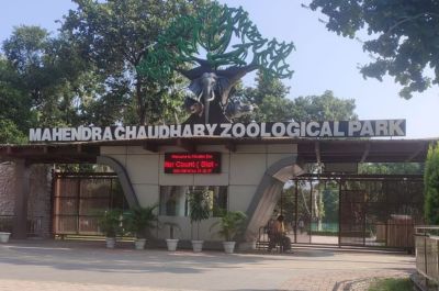 ChattBir Zoo (Mahendra Chaudhary Zoological Park)