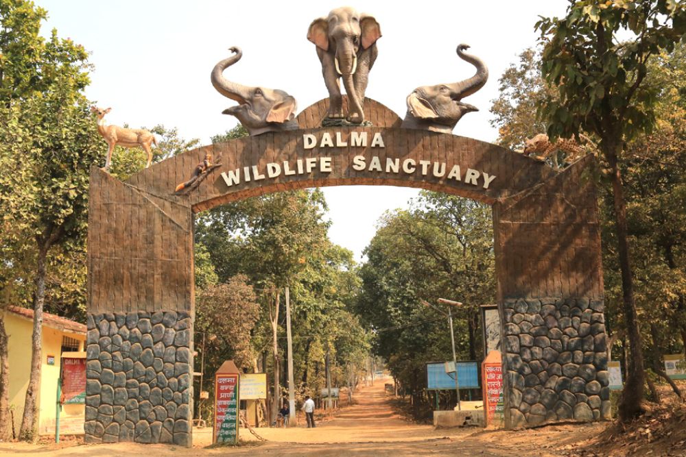 Dalma Wildlife Sanctuary