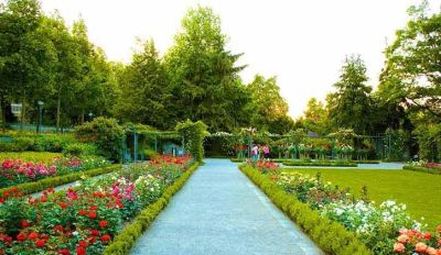 Rose Garden (Zakir Hussain Rose Garden)