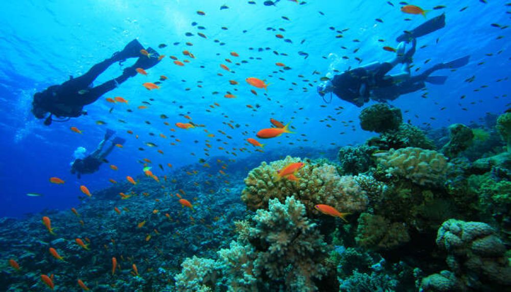 Scuba Diving Spots Agatti Island