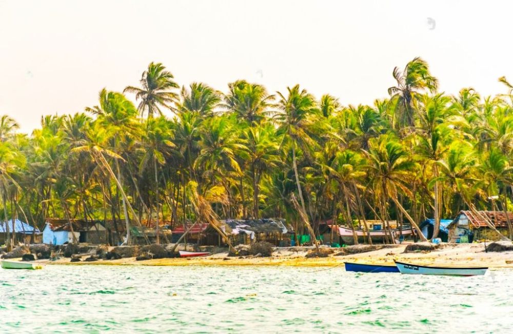 Shark Point Kavaratti island