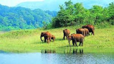 Rajbari National Park