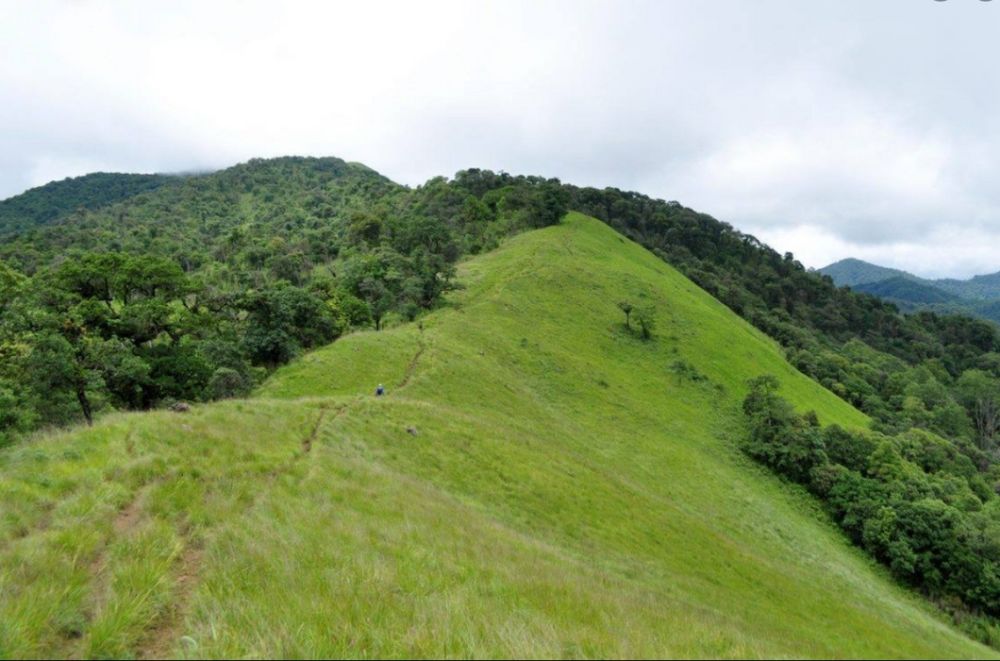 Shirui Kashong Peak