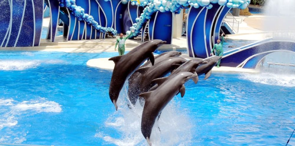 Dubai Dolphinarium