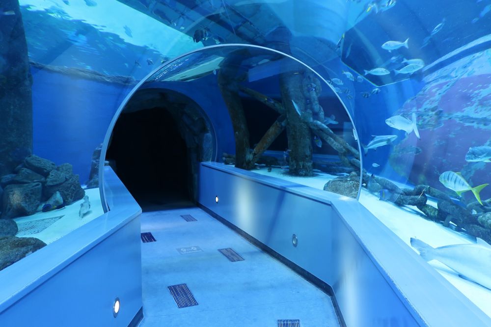 Sharjah Aquarium