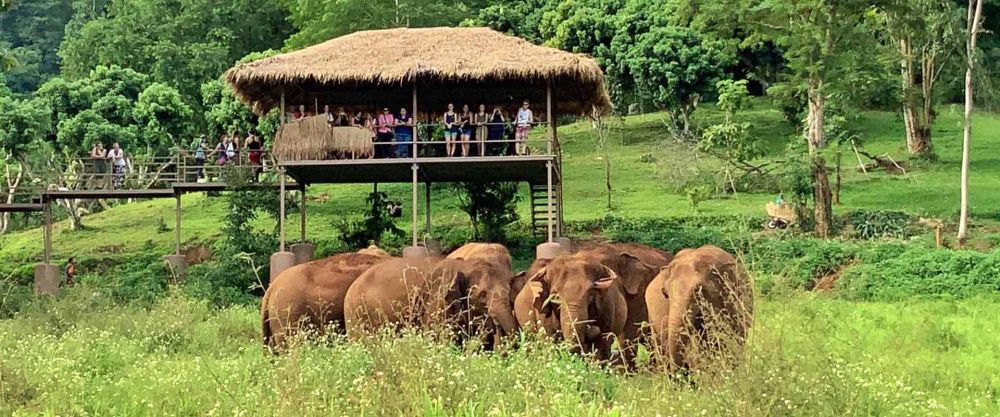 Elephant Conservation Centre