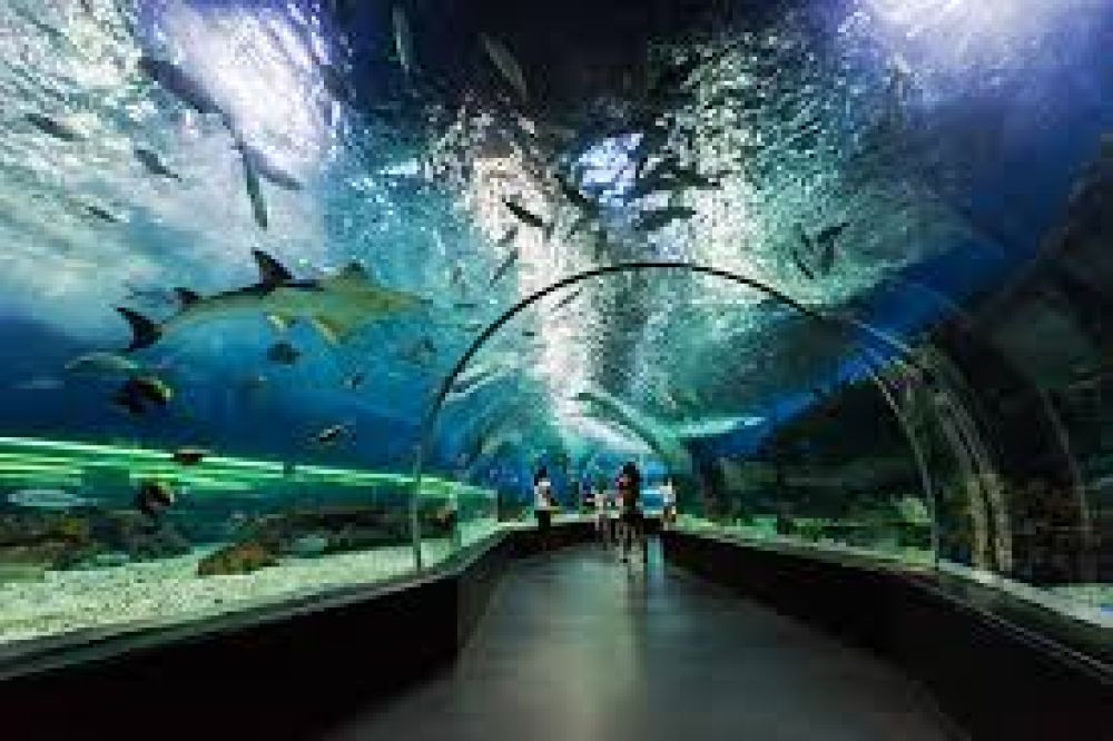 Dubai Aquarium & Underwater Zoo