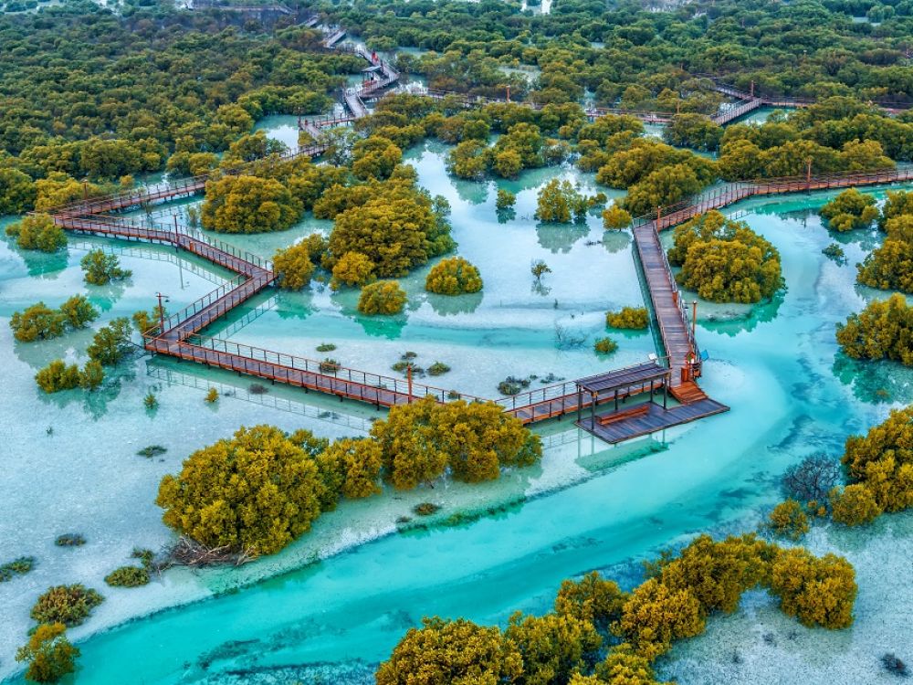 Mangrove Marine National Park