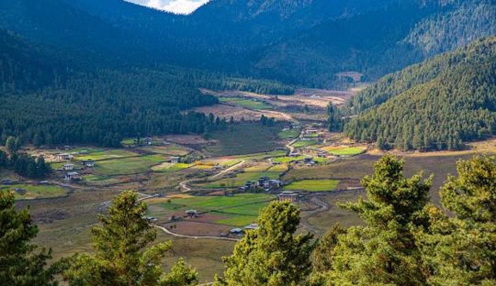 Phobjikha Valley