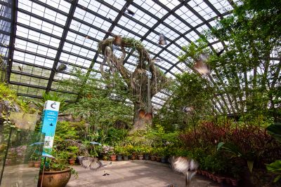 Penang Butterfly Farm