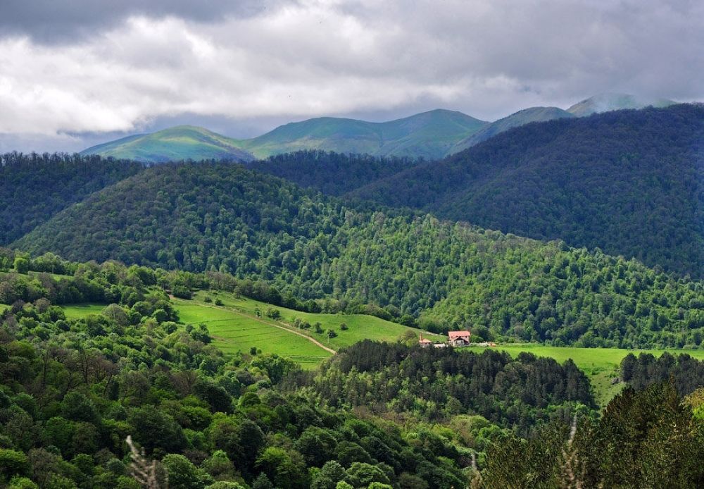 Dilijan