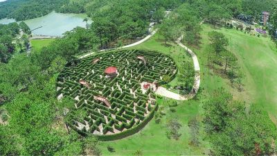 Valley of Love (Thung Lung Tinh Yeu)