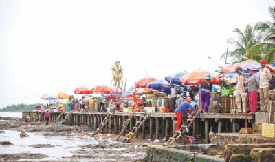 Crab Market