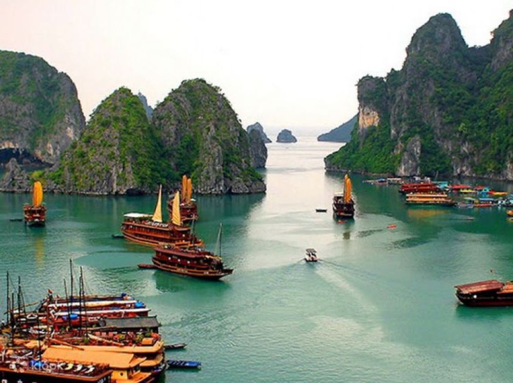 Cruise around Ha Long Bay