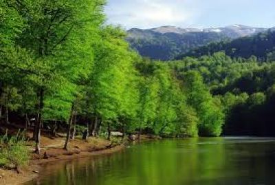 Dilijan National Park