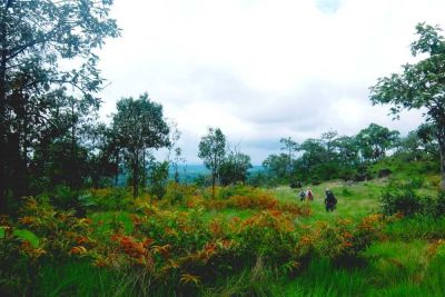 Virachey National Park