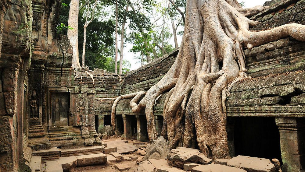 Top Things To Do In Ta Prohm (Siem Reap) In 2024