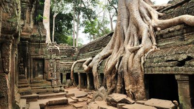 Ta Prohm