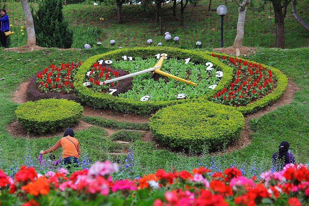 Best Time To Visit Dalat Flower Gardens (Vuon Hoa Dalat) (Dalat) In ...