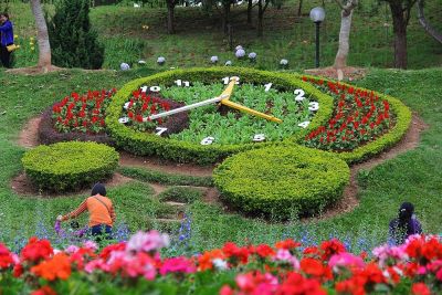 Dalat Flower Gardens (Vuon Hoa Dalat)